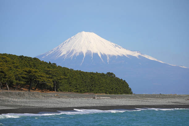 yakushima