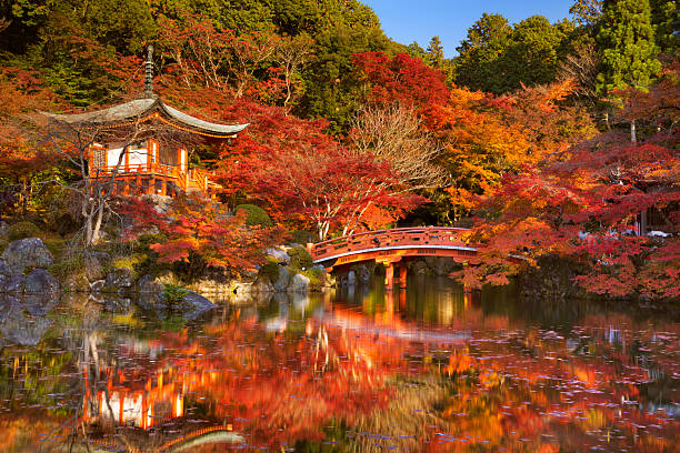 Autumn in Japan