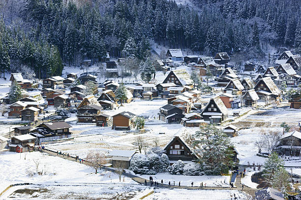 Winter in Japan